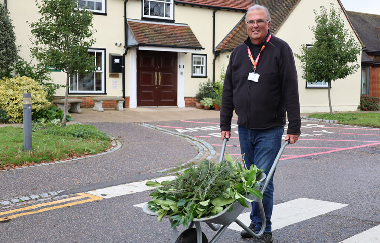 Image: Robert Chapman