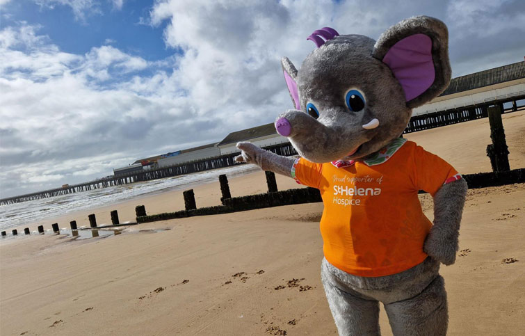 Image: Saunders the St Helena Hospice mascot on the seafront in Walton at Pier to Pier charity walk