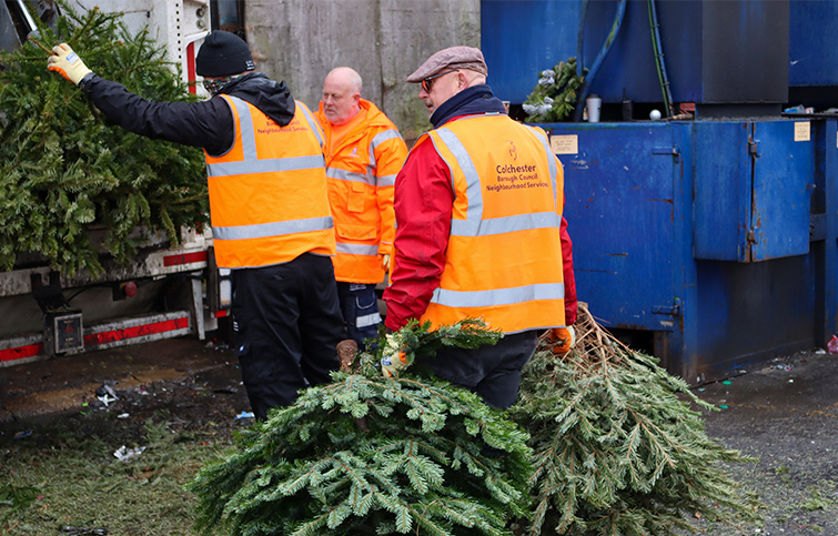 Colchester Borough COuncil workers dispose of trees at the recycling centre