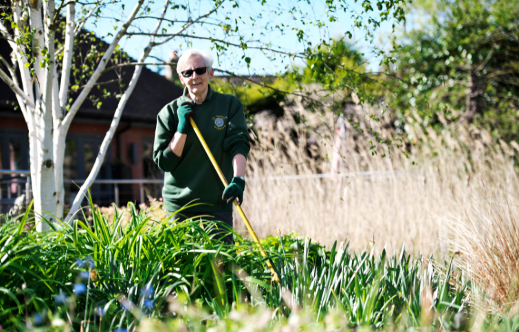 volunteer holding a shovel behind tall grass