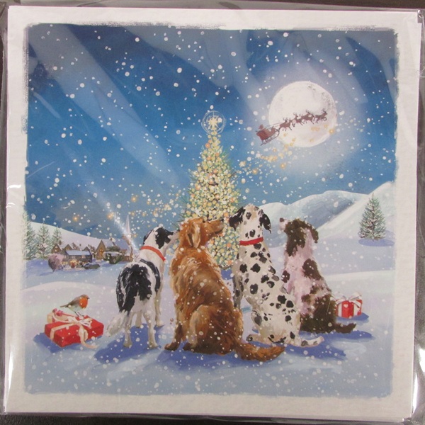 Christmas Cards 10 Pack - Have You Been Good?