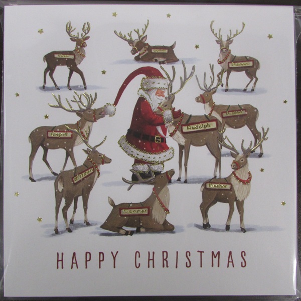 Christmas Cards 10 Pack - Santa Feeding the Reindeer