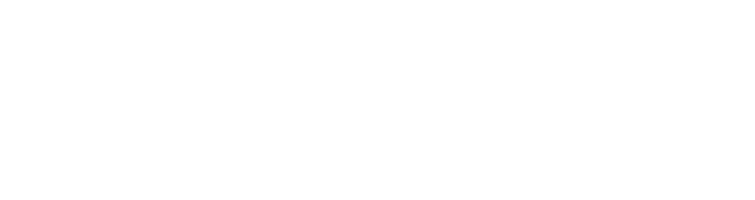 St Helena Care and Support logo whiteout